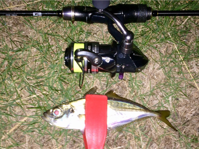 アジンガー1840〜2041