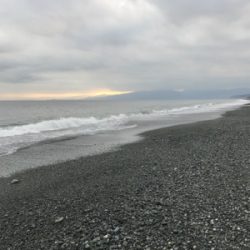 サーフでキス釣り