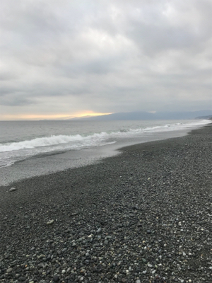 サーフでキス釣り