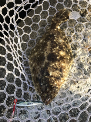 ルアーで5目釣り、達成！