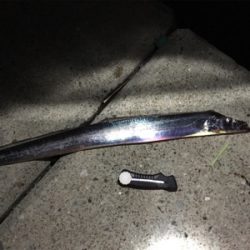 エギングロッドで刀狩り