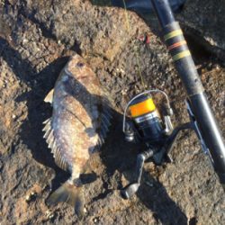 千畳敷へ初釣行