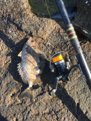 千畳敷へ初釣行