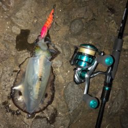 風の合間を縫って‼︎