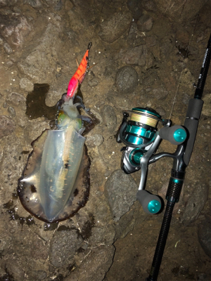 風の合間を縫って‼︎