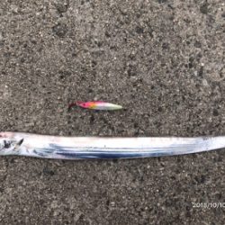 マイクロベイト