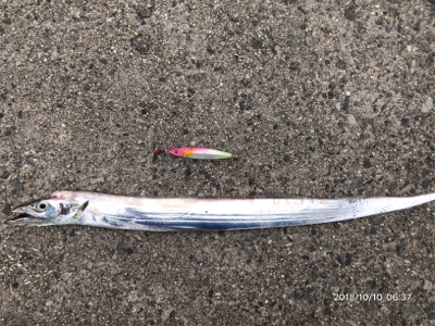 マイクロベイト