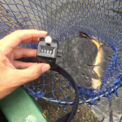 草柳フィッシングセンター