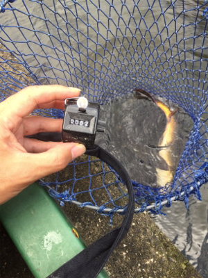 草柳フィッシングセンター