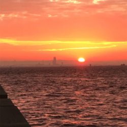 のませのはずが、、、、