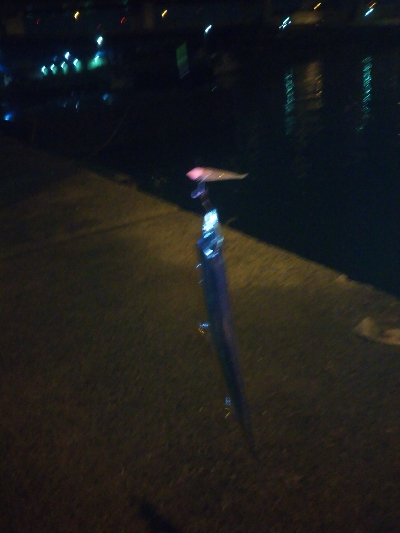 南港フェリー乗り場リベンジ