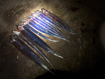 雨の合間にのタッチーパラダイス(^^)
