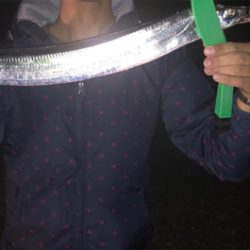 ドラゴン級サイズゲットだぜ！