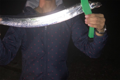 ドラゴン級サイズゲットだぜ！