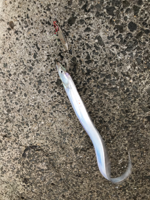 目指せサイズアップ！