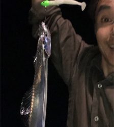 一年ぶりのフィッシング〜