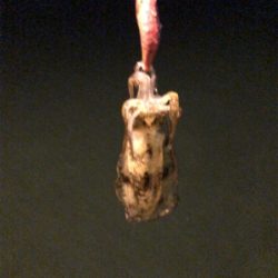 秋イカエギング