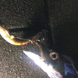 自作アシストVSトレーラーフック