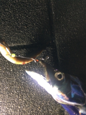 自作アシストVSトレーラーフック