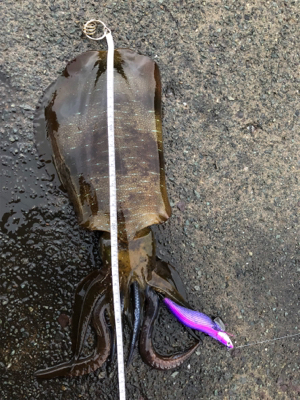 夕まづめ3時間勝負