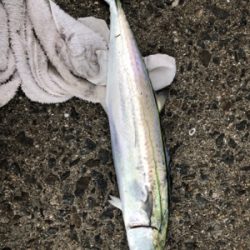 釣果も気温も寒かったです。