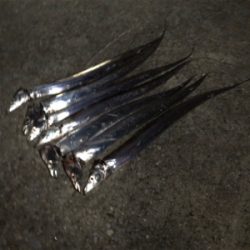 好調タッチー(^^)