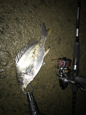 ずる引きチニング