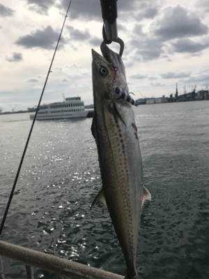 潮読んでなんとか一本！！