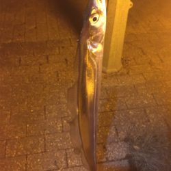 癒しのウキ釣り