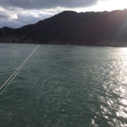 ショアジギング