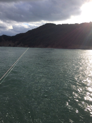 ショアジギング