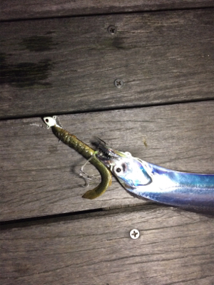 テンヤの重さは？