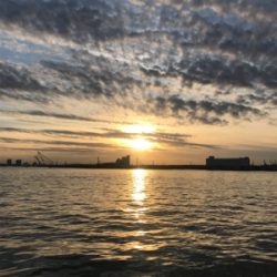 念願の今年初ブルー！！