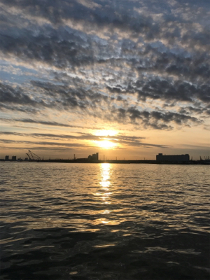 念願の今年初ブルー！！