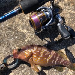 しまなみショアジギ まずは投げラバ