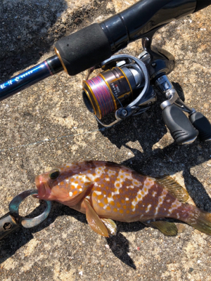 しまなみショアジギ まずは投げラバ