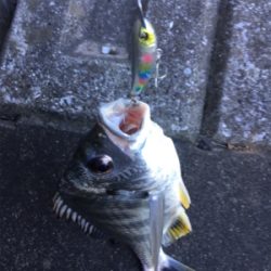 そろそろSRクランクでも…