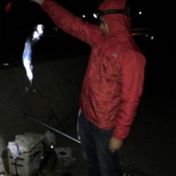 夜釣り