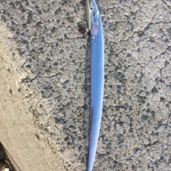 久し振りの朝ショア