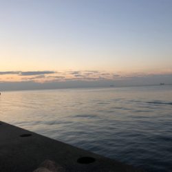 久々の青物釣り