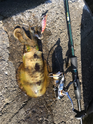 エギング・ジギング・アジング