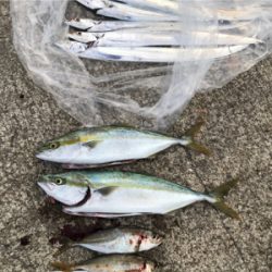 淡路島ランガン5種目達成