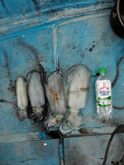 いっぱい釣れた〜