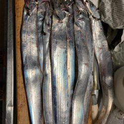 岸和田ワインド