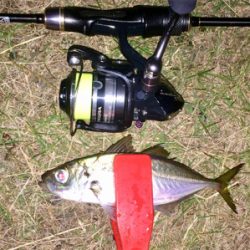 アジンガー1810〜2030