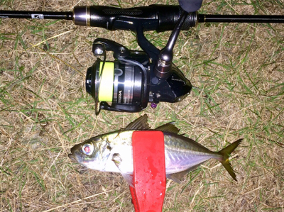 アジンガー1810〜2030