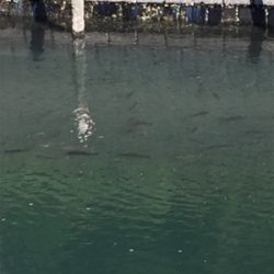 やっぱり小場所が一番!