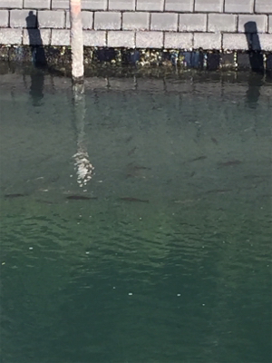 やっぱり小場所が一番!