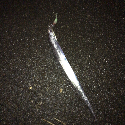 急に冷えたからか渋い