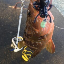 初の日本海沖堤防